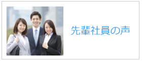 先輩社員の声